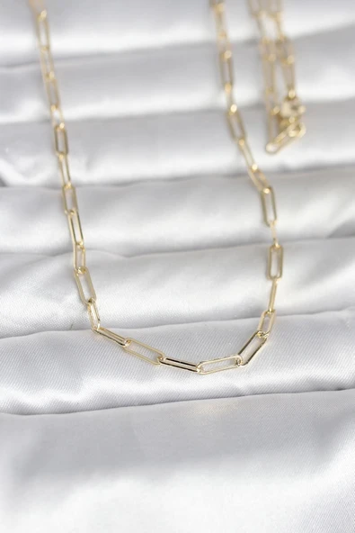 CM 14K Gold Renk Ataç Zincirli Model 60 cm Kadın Kolye ürün görseli 1