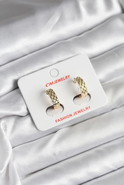 14K Gold Renk Kaplama CM Kadın Küpe ürün görseli 1