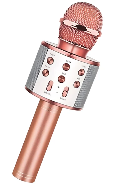 Kenko Karaoke Mikrofon Rose Gold Renk Bluetooth Hoparlör Hafıza Kartı Usb Aux Giriş Destekli Hadi Söyle ürün görseli 1