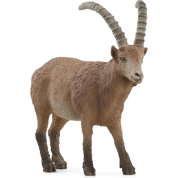 Oğlak ürün görseli 1