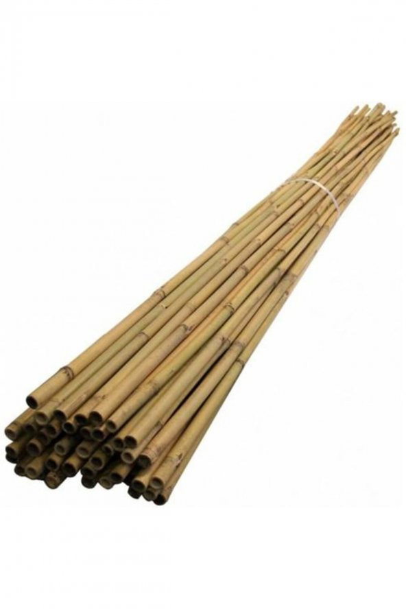 50 adet Fidan Destek Çubuğu Kamış 140-150cm ürün görseli 1