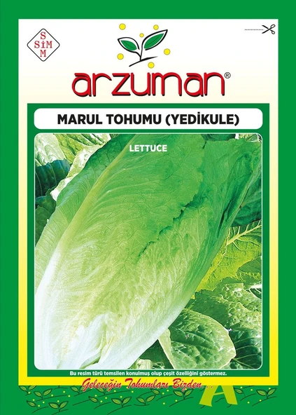 Yedikule Marul Tohumu 10 Gr ürün görseli 1