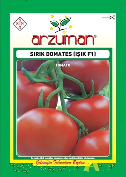 Işık F1 (Sırık) Domates Tohumu 10 Adet ürün görseli 1