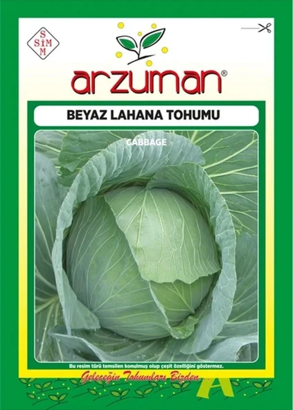 Beyaz Lahana Tohumu 10 Gr ürün görseli 1