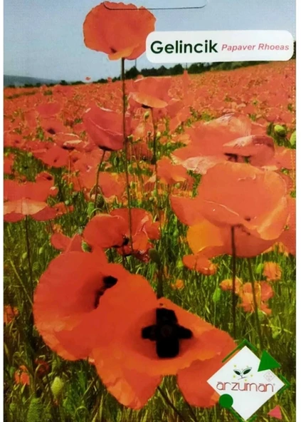 Gelincik Tohumu Papaver Rhoeas 50 Adet ürün görseli 1