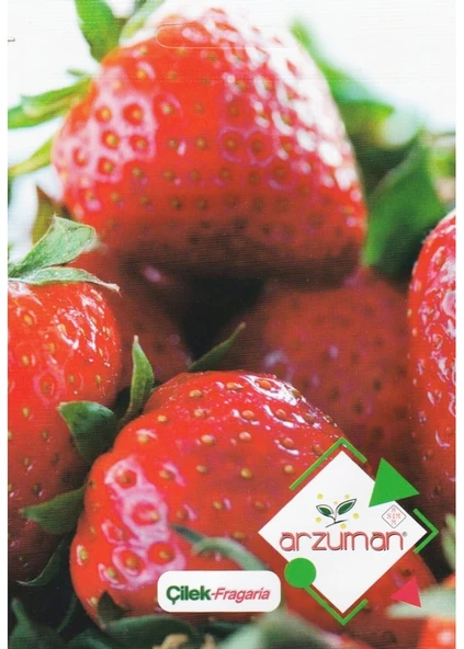 Çilek Tohumu Fragaria 100 Adet ürün görseli 1