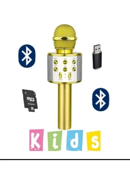 Blic Bls-25 Usb / Tf Kart / Aux Karaoke Mikrofon BT Gold Renk ürün görseli 1