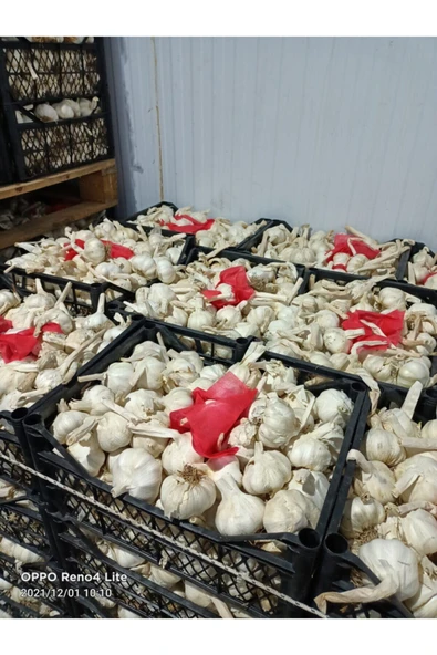 Sarımsak 1 kg ürün görseli 1