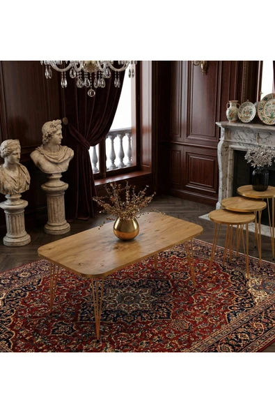 MRVHOMEE 4'Lü, YUVARLAK Modern Gold Detaylı Metal Ayaklı Sehpa Seti- Ahşap ürün görseli 1