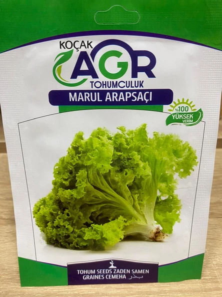 Agr Kıvırcık Marul Arapsaçı Tohumu 3 Gr ürün görseli 1