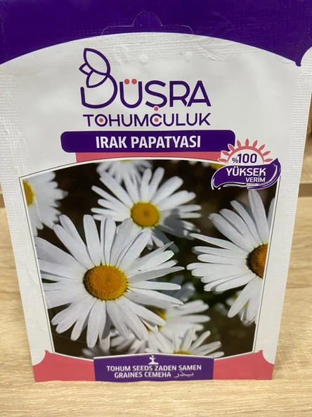 Büşra Irak Papatyası Tohumu ürün görseli 1