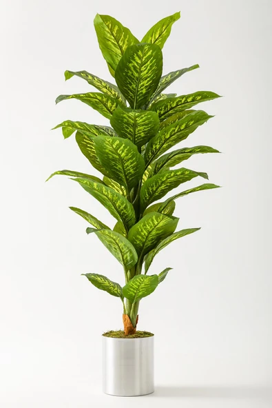 Yapay Difenbahya Ağacı 160 Cm - Resim 2