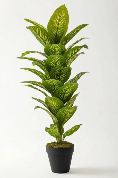 Yapay Difenbahya Ağacı 160 Cm - Resim 8
