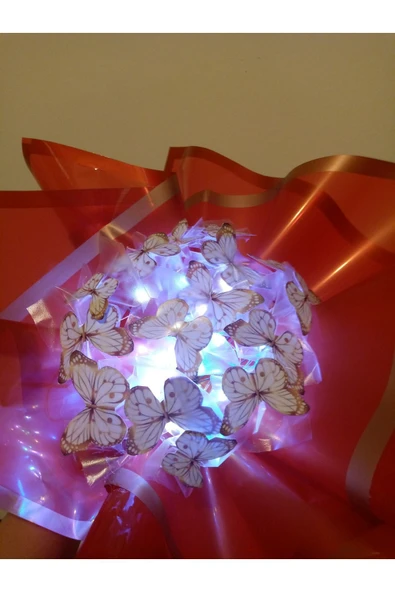 neslinurbutik LED ışıklı 15 kelebek buket ürün görseli 1