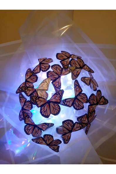neslinurbutik LED ışıklı kelebek buket ürün görseli 1
