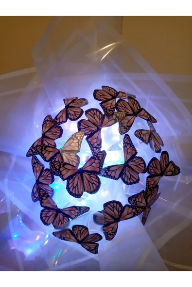 neslinurbutik LED ışıklı kelebek buket - Resim 2