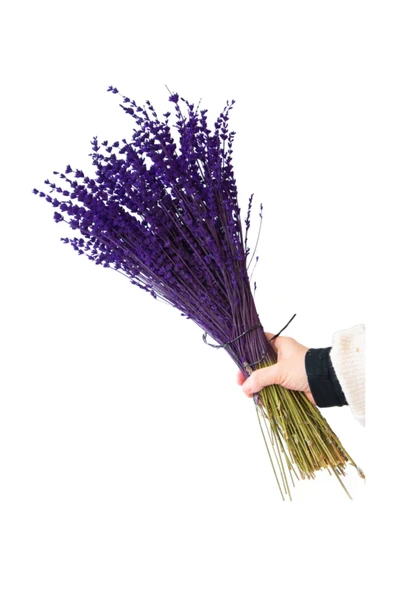 Sofiplant Kuru Lavanta Buketi Mor ürün görseli 1