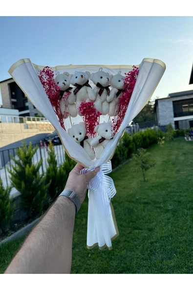 DAFNE Sevdiklerinize Özel Sevimli Peluş Ayıcık Buketi ürün görseli 1