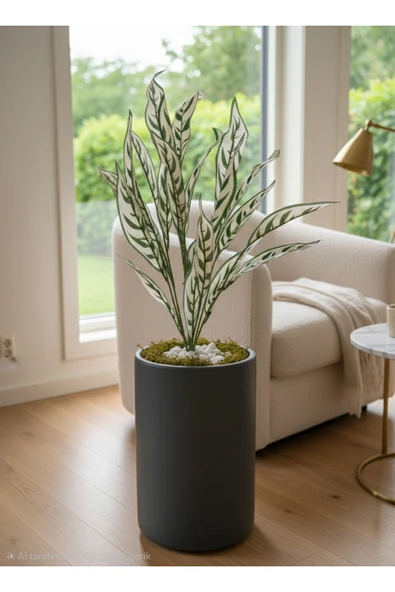 BAKBURAYA YAPAY ÇİÇEKÇİLİK Beyaz Yapay Starliçe 75 Cm Dekorasyon Çiçeği ürün görseli 1