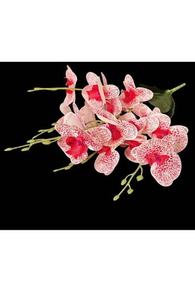 yapay çiçek evi 45 cm Yapay Islak KIRMIZI BEYAZ Orkide Dekorasyon Orkide Demet ürün görseli 1