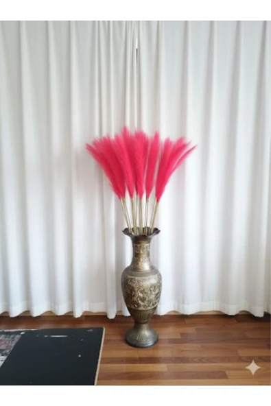 yapay çiçek evi 2 Adet Kırmızı Pampas Çiçeği 70 Cm Ev Dekor Vazo Süsü ürün görseli 1