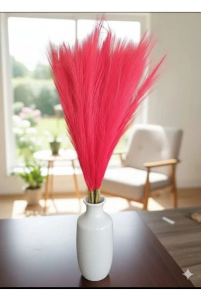 yapay çiçek evi 10 Adet Kırmızı Pampas Çiçeği 70 Cm Ev Dekor Vazo Süsü ürün görseli 1