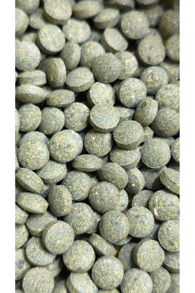 SERA Plankton Tabs - 100 Adet - Resim 2