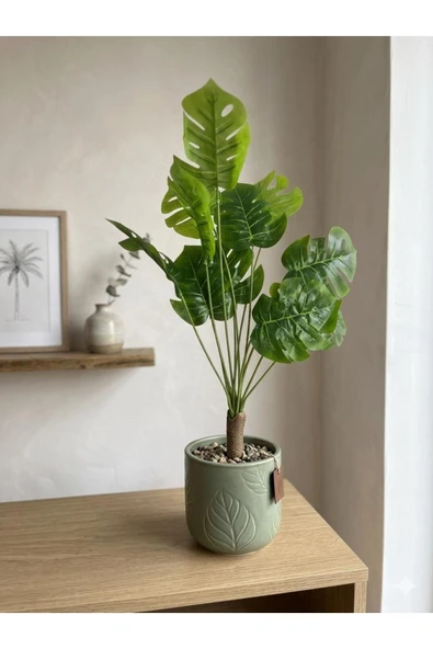 YASİMA Yapay Deve Tabanı Ağacı 55 Cm Ev İş Yeri Dekorasyon Önerisi ürün görseli 1