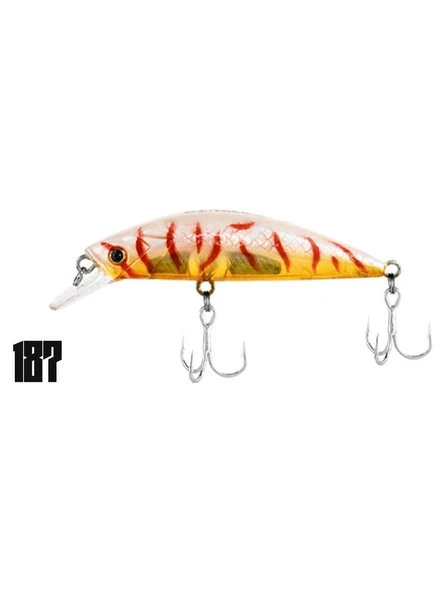 Fujin Beagle 6cm 6.5gr Maket Balık - Resim 5