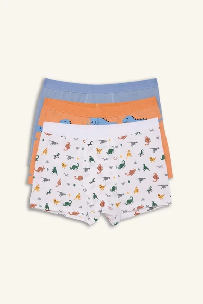Defacto H0704A8WT34 Beyaz Dinozor Baskılı Penye 3'lü Boxer Erkek Çocuk ürün görseli 1