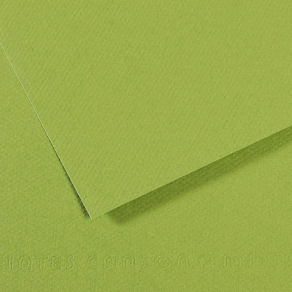 Canson Sh Canmt 50x65Cm 160 Gram Pastel Dokulu Fon Kartonu Grn 475 31032S106 (10 Lu Paket) ürün görseli 1
