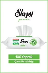 ŞeyliŞeyler - Sleepy Çam Ferahlığı Yüzey Temizlik Havlusu 100 Yaprak 5 Paket ürün görseli 1