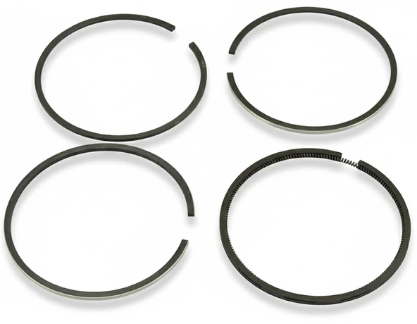 Antor 4LD820 Segman Takımı +1,00mm 103mm ürün görseli 1