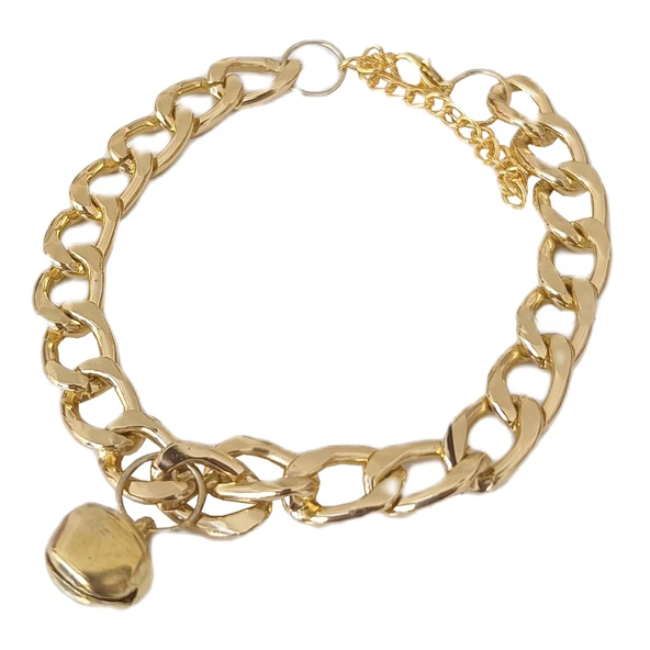 Kedi Ve Köpek Lüx Zincir Kolye 25-30 cm Medium Gold ürün görseli 1