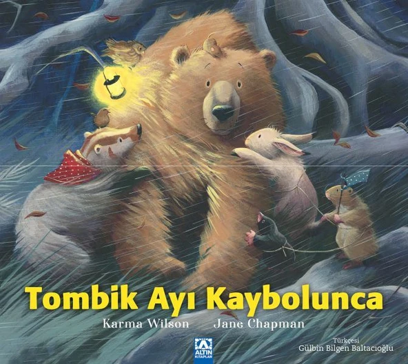 Tombik Ayı Kaybolunca ürün görseli 1