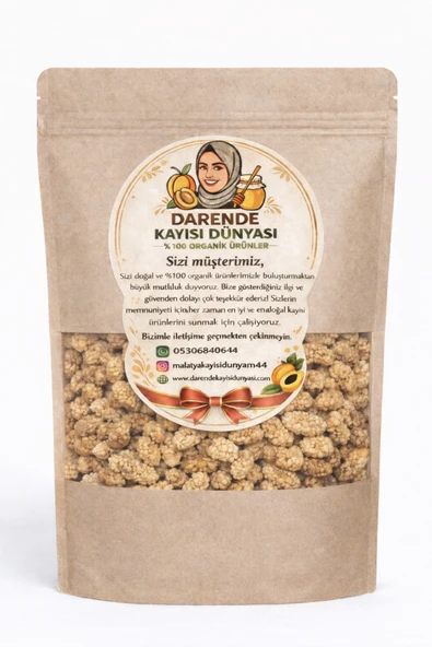 Darende Kayısı Dünyası Dut Kurusu (1 Kg)- Yeni Mahsül ürün görseli 1