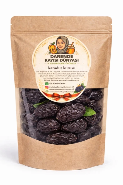 Darende Kayısı Dünyası Kara Erik Kurusu 500 Gram ürün görseli 1