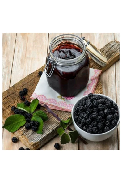 Darende Kayısı Dünyası Ev Yapımı Karadut Pekmezi 1 Kg – %100 Doğal ürün görseli 1
