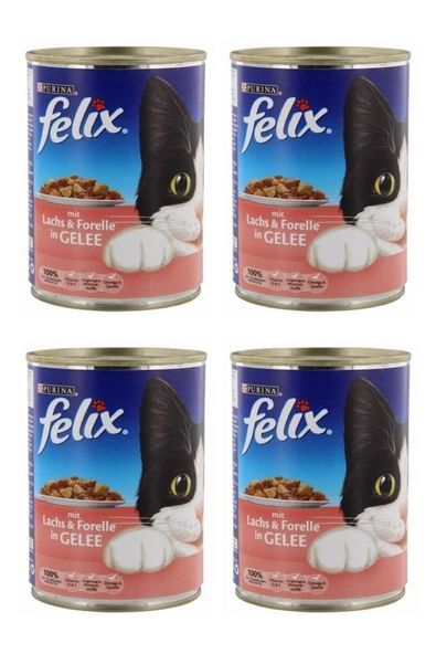 Somonlu&alabalık 400gr X 4 Adet ürün görseli 1