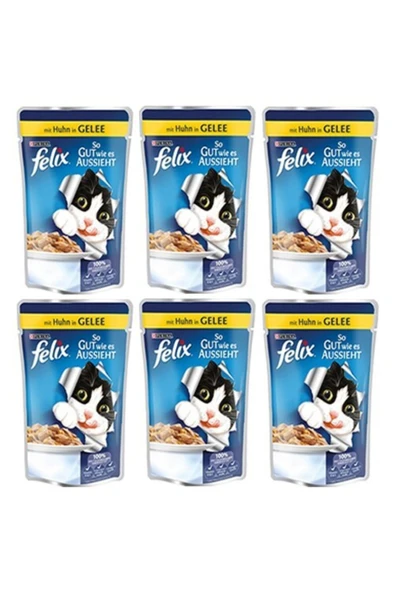 Tavuklu Yaş Kedi Maması ürün görseli 1