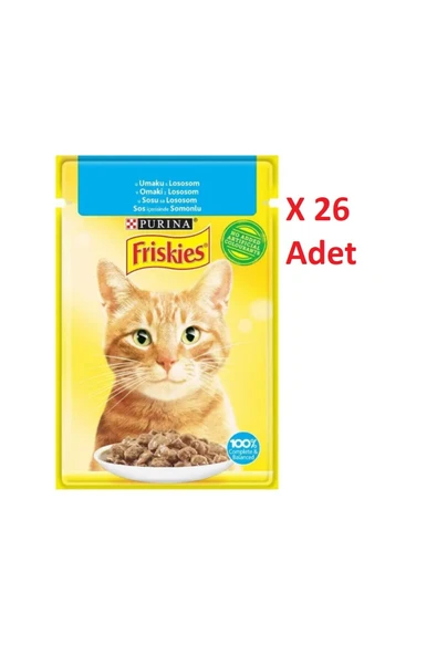 Purina Friskies Somonlu Yetişkin Kedi Yaş Maması 26 X 85 gr ürün görseli 1
