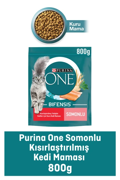 Somonlu Kısırlaştırılmış Yetişkin Kedi Maması 800gr ürün görseli 1