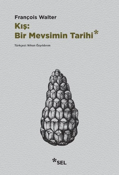 Kış: Bir Mevsimin Tarihi ürün görseli 1