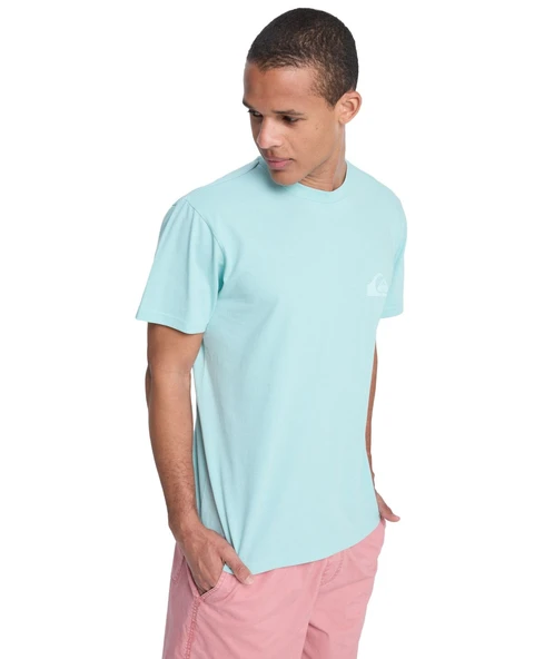 Quiksilver EV MINI LOGO Erkek Tişört EQYZT08181-QK.BGA0 ürün görseli 1