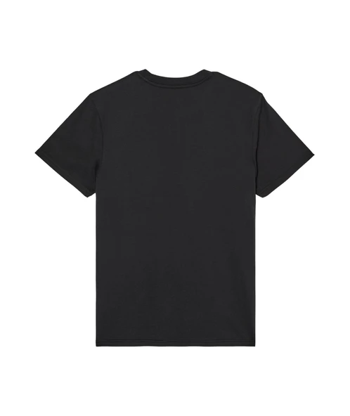 Quiksilver EV MINI LOGO Erkek Tişört EQYZT08181-QK.11783 ürün görseli 1
