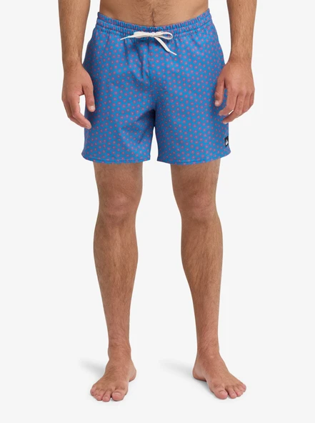 Quiksilver STRETCH PRINTED Erkek Şort EQYJV04217-QK.BLC2 ürün görseli 1