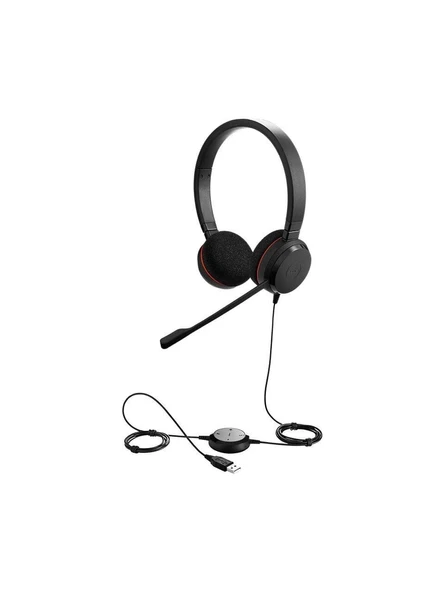 JABRA Evolve 20 Duo USB NC MS Kulaküstü Kulaklık ürün görseli 1