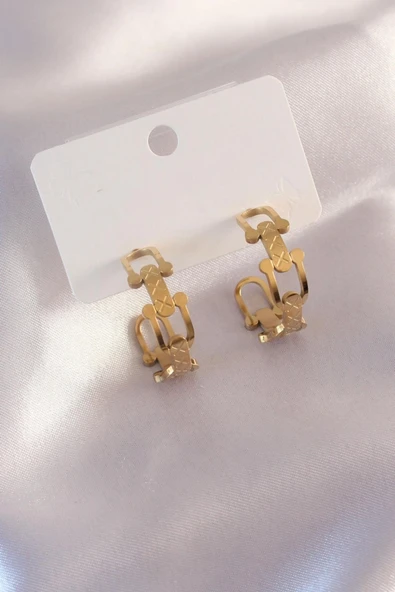 BUTİK AYVİTRİN Çelik Gold Renk Tifanny Zincir Model Kadın Küpe ürün görseli 1
