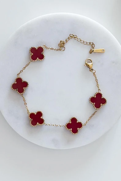 Gold Bordo Doğal Taşlı Premium Çelik Bileklik ürün görseli 1