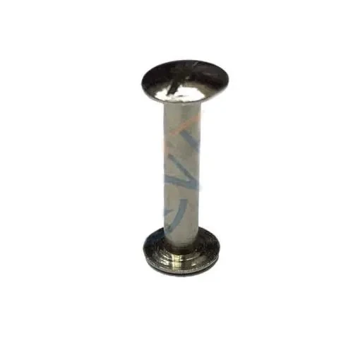 Cilt Menü, Katalog, Kartela Vidası, 20 Mm - Nikel, 1 Adet ürün görseli 1